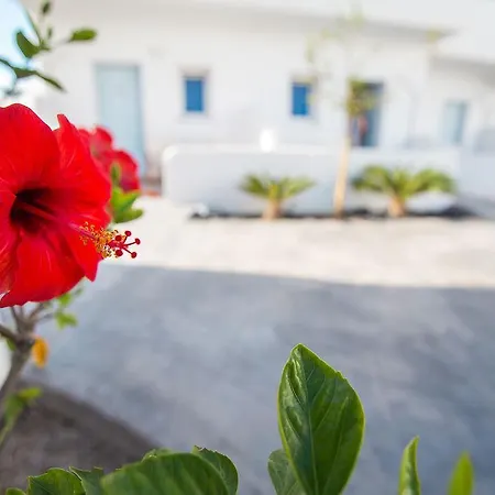 Odysseas Perivolos (Santorini)